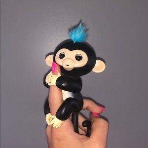 Fingerling blue and black monkey